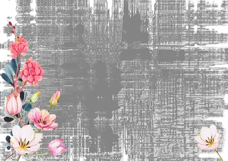 背景，铬，花，灰色，漂亮，花，开花植物，植物