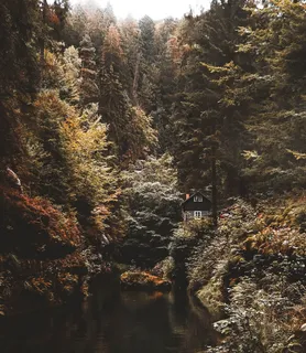 捷克，hřensko，Edmundskann，hrensko，小屋，秋天，房子，forrest