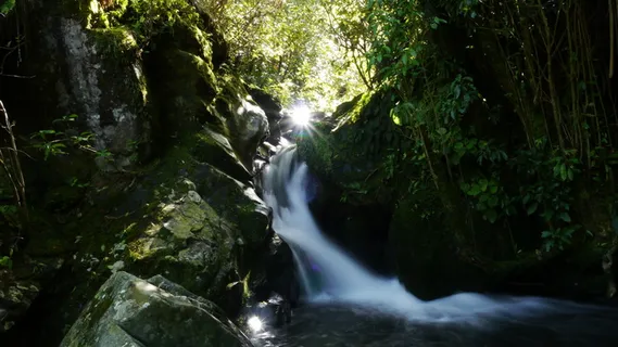 新西兰,风景,自然,北岛,夏天,假日,托塔拉公园,瀑布 新西兰,风景,自然,北岛,夏天,假日,托塔拉公园,瀑布
