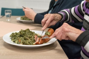 食物，膳食，羽衣甘蓝，手，女人，成年人，手，老人