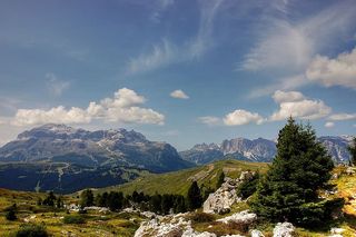 普拉隆吉亚，白云石，阿尔姆，自然，享受，徒步旅行，夏天，田园诗