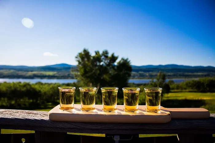 自然，天空，水，树木，模糊，特写，乡村，环境