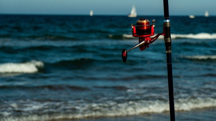 钓鱼，藤条，大海，耐心，爱好，卷轴，水，水上地平线