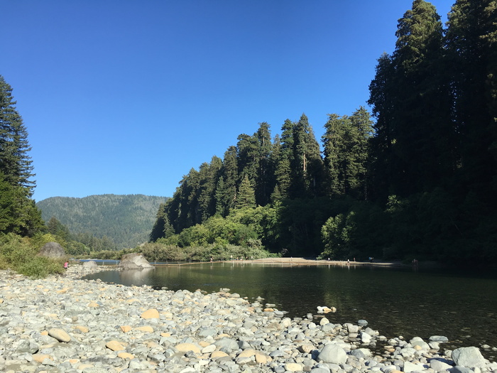 jedediah smith redwood state park，美国，红杉，自然，森林，树木，水，户外