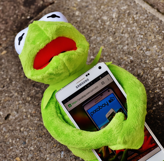 kermit，frog，plush，toy，hugging，三星安卓智能手机，kermit，智能手机