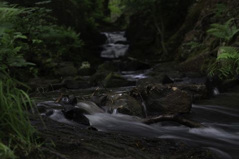 英国, matlock, 拉姆斯代尔瀑布, 自来水, 流, a7rii, 索尼 alpha, 长时间曝光