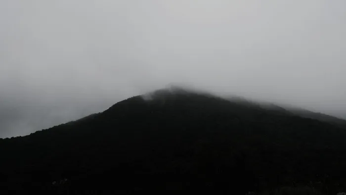 自然，天气，户外，雾，馬鞍山郊野公園, 新界, 香港