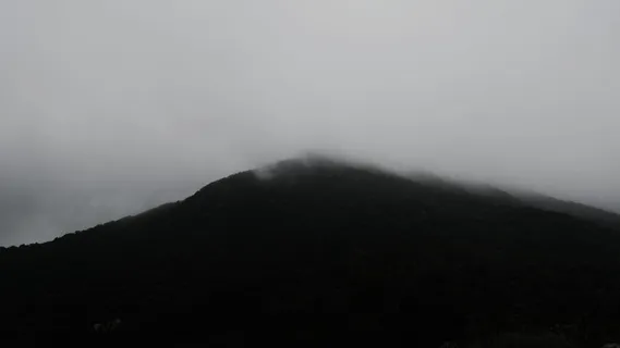 自然，天气，户外，雾，馬鞍山郊野公園, 新界, 香港