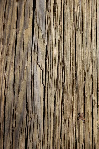 纹理、木材、线条、棕褐色、背景、树木、自然、木材-材料