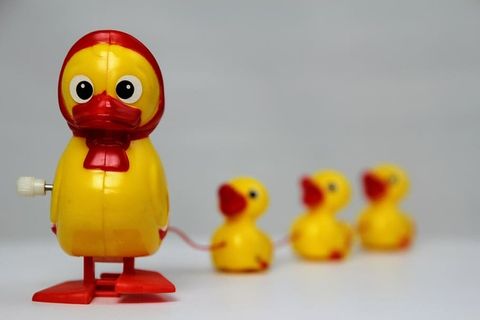 鸭子，玩具，幸运鸭子，黄色鸭子，鸭子孩子，玩具，黄色，摄影棚拍摄