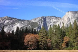 约塞米蒂，国家公园，森林，风景，自然，风景，美国，森林