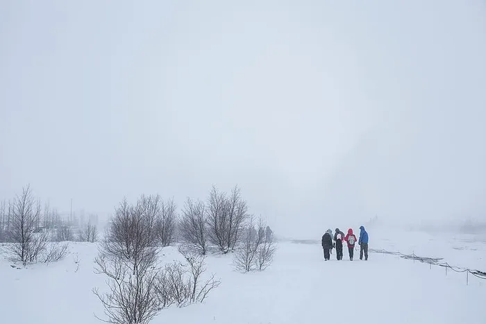 一组，四个人，步行，下雪，田野，白天，男人