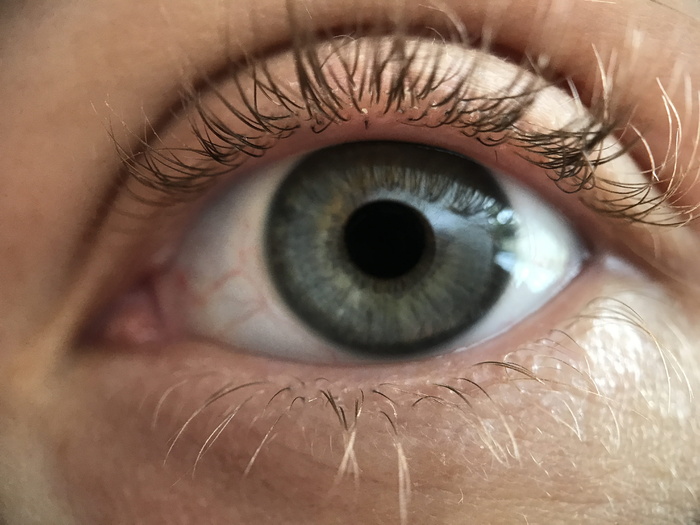 美国, 迈阿密海滩, 1600 meridian ave, olho, 眼, ojo, 模型, 达芙妮