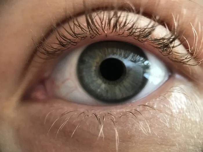 美国, 迈阿密海滩, 1600 meridian ave, olho, 眼, ojo, 模型, 达芙妮