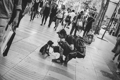 西班牙、巴塞罗那、梅尔卡多·德拉博克利亚、纹身、中、迷失、爱、爱抚 西班牙、巴塞罗那、梅尔卡多·德拉博克利亚、纹身、中、迷失、爱、爱抚