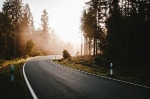 空旷的道路、树木、日落、日出、森林、林地、户外