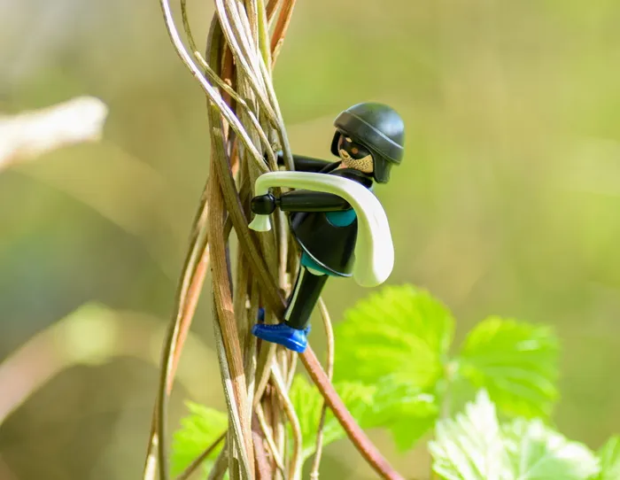 入室行窃，盗窃，罪犯，人物，小偷，间谍，逮捕，犯罪