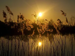 日落，太阳，风景，自然，湖泊，剪影，黄昏，夏天