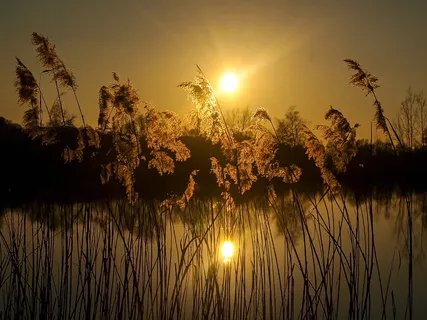 日落,太阳,风景,自然,湖泊,剪影,黄昏,夏天 日落,太阳,风景,自然,湖泊,剪影,黄昏,夏天