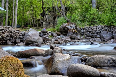 花园，草，绿色，白天，绿色，构图，夏天，照片