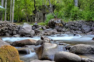 花园，草，绿色，白天，绿色，构图，夏天，照片