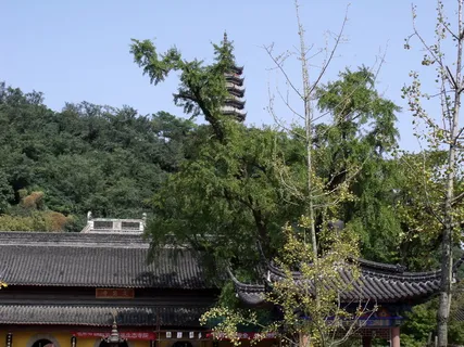寺庙,佛像,塔,亚洲,建筑,宗教,佛教,旅游 寺庙,佛像,塔,亚洲,建筑,宗教,佛教,旅游