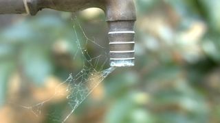 水龙头、缺水、蜘蛛网、无水、干旱、特写、聚焦前景、自然