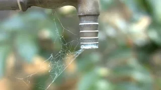 水龙头、缺水、蜘蛛网、无水、干旱、特写、聚焦前景、自然