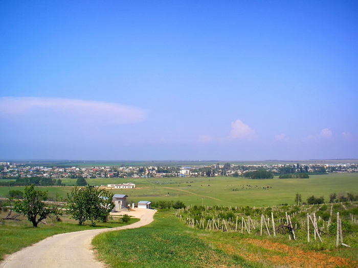 白俄罗斯，风景，风景，天空，维利诺，云，葡萄园，乡村