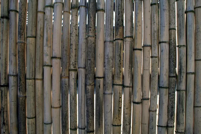棕色，黑色，竹栅栏，竹子，栅栏，墙，竹墙，背景