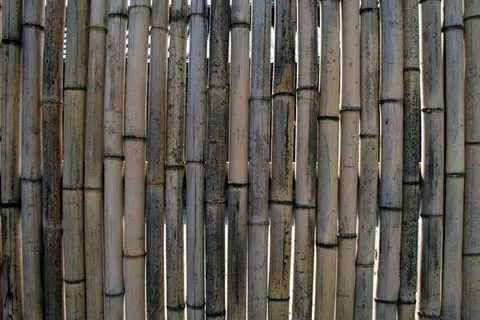 棕色,黑色,竹栅栏,竹子,栅栏,墙,竹墙,背景 棕色,黑色,竹栅栏,竹子,栅栏,墙,竹墙,背景