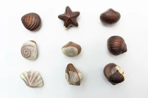 九个棕色贝壳，人物，糖果，巧克力，糖果，欧洲，巧克力，一组物品