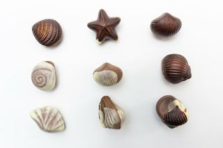 九个棕色贝壳，人物，糖果，巧克力，糖果，欧洲，巧克力，一组物品