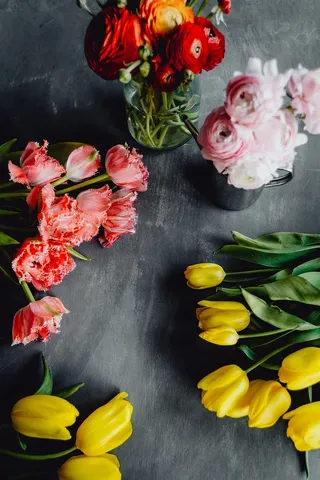 灰色背景上的彩色花朵，带有复制空间