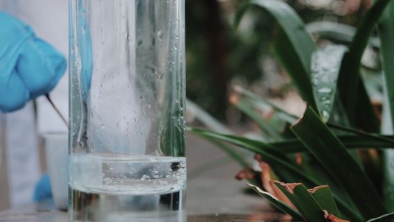 化学，实验，玻璃，瓶子，手套，绿色，植物，x-a2fujifilm