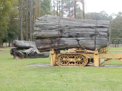 木材、植物、树木、机器、车轮、草、木材、树干 木材、植物、树木、机器、车轮、草、木材、树干