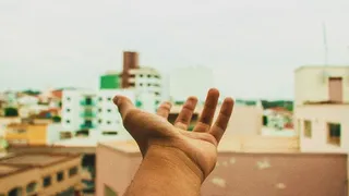 左侧人类手掌，选择性，聚焦照片，左侧，人类，手掌，手，建筑群