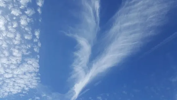 云,多云,不寻常,心形,纤细,云-天空,天空,蓝色 云,多云,不寻常,心形,纤细,云-天空,天空,蓝色