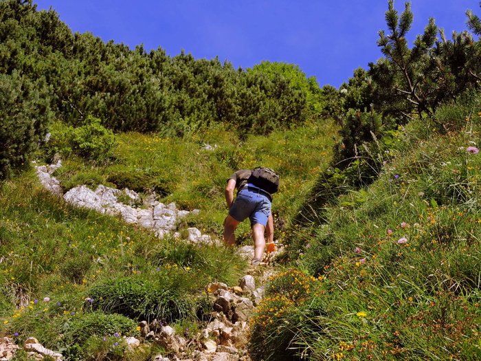 攀登、步行、小径、高山、徒步旅行、草地、绿地、疲劳