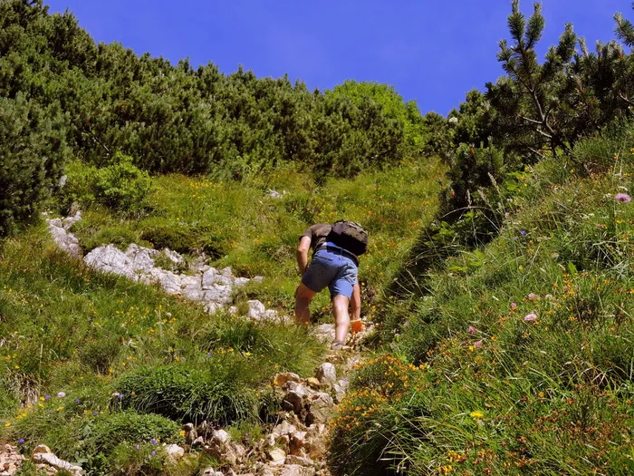 攀登、步行、小径、高山、徒步旅行、草地、绿地、疲劳