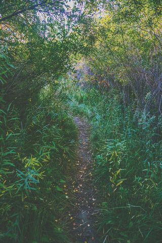 <!DOCTYPE html>
<html>
    <head>
        <title>文件“C:log.txt”正由另一进程使用，因此该进程无法访问此文件。</title>
        <meta name="viewport" content="width=device-width" />
        <style>
         body {font-fam