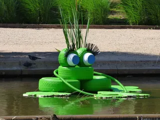 盆地、原始、青蛙、水、自然、绿色、植物、白天