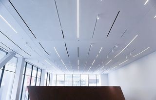 旧金山，美国，白色，建筑，建筑，雕塑，艺术，室内