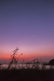 绿草横穿北极星照片