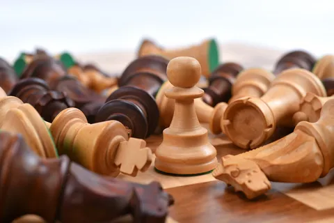 美国，道尔顿，休闲游戏，棋类游戏，大型团体物体，放松，游戏，象棋