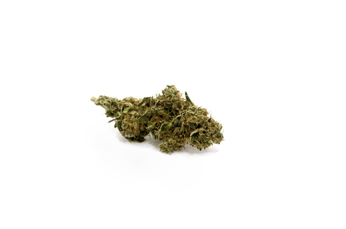 大麻, 大麻, 芽, 医疗保健和医学, 大麻-草本大麻, 白色背景, 植物, 草本