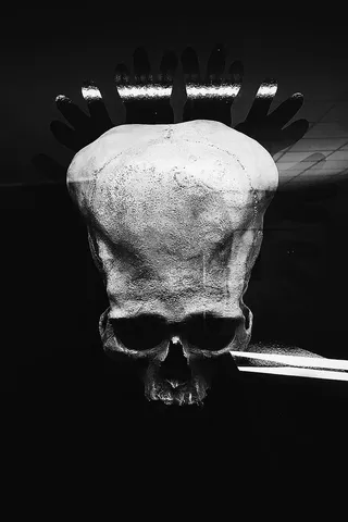 秘鲁，人类，骨头，头骨，黑色，黑白，白色，室内