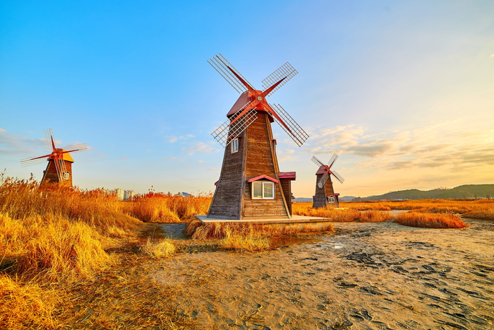 韩国，风车，盐，农场，日出，天空，刀刃，木头