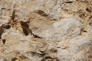 罗氏，岩石，材料，自然，罗氏，岩石，背景，化石，全框架