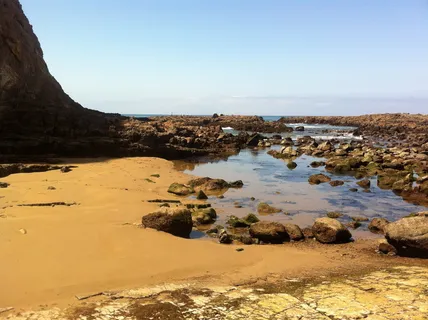 Palos Verdes, 卡利, 景观, 荒野, 风景, 自然, 野生, 土地